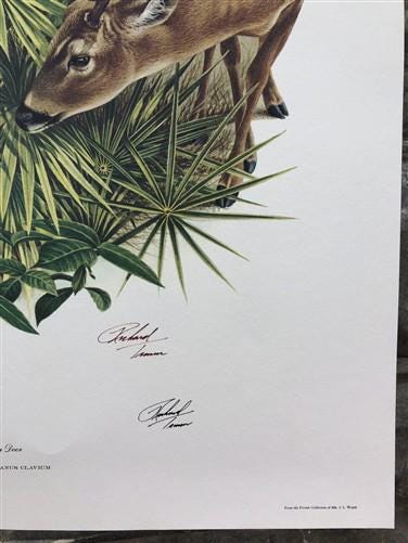 Art & Collectibles > Prints > Lithographs - Richard Timm, Florida Key Deer, Signed Print, 28x22 Wade Collection, Plate 15...