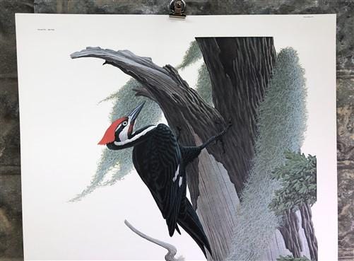 Art & Collectibles > Prints > Lithographs - Richard Sloan, Woodpecker, Signed Print, 28x22, Wade Collection, Plate 48 by T...