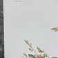 Art & Collectibles > Prints > Lithographs - Richard Sloan, Meadowlark, Signed Print, 28x22, Wade Collection, Plate 24 by T...