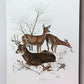 Art & Collectibles > Prints > Lithographs - Richard Timm, White Tailed Deer, Signed Print, 28x22 Wade Collection, Plate 7...