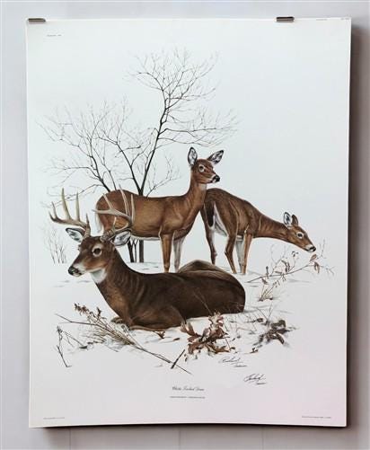 Art & Collectibles > Prints > Lithographs - Richard Timm, White Tailed Deer, Signed Print, 28x22 Wade Collection, Plate 7...