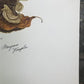 Art & Collectibles > Prints > Lithographs - Maryrose Wampler, Daisy Mum, Signed Print, 28x22 Wall Art, Plate 4 by The Old...
