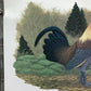 Art & Collectibles > Prints > Lithographs - Richard Sloan, Blue Hen, Signed Print, 28x22, Wade Collection, Plate 43 by The...