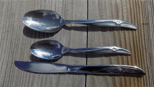 Home & Living > Kitchen & Dining > Dining & Serving > Flatware & Silverware - Rogers & Bro, Stainless Silverware, Set 61 P...
