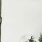 Art & Collectibles > Prints > Lithographs - Richard Timm, Coyote, Signed Print, 28x22 Wade Collection, Plate 21 by The Old...