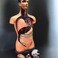 Craft Supplies & Tools > Tools & Equipment > Equipment & Machines - Sargent Welch Scientific Human Torso Cat No 95105, 3D...