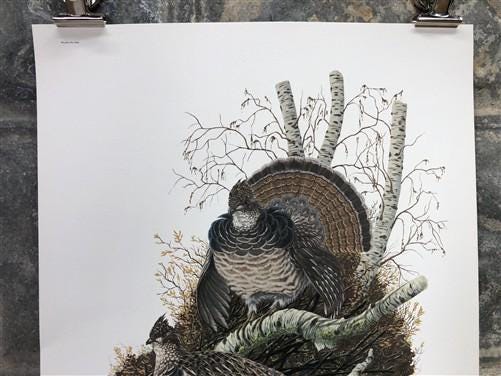 Art & Collectibles > Prints > Lithographs - Richard Sloan, Ruffled Grouse, Signed Print, 11x14, Essay, Sketches, Plate 12...
