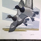 Art & Collectibles > Prints > Lithographs - Richard Sloan, Lesser Scaup, Signed Print, 28x22, Wade Collection, Plate 49 by...