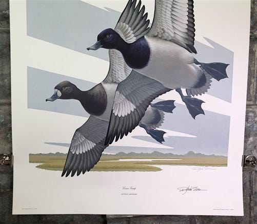 Art & Collectibles > Prints > Lithographs - Richard Sloan, Lesser Scaup, Signed Print, 28x22, Wade Collection, Plate 49 by...