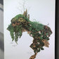 Art & Collectibles > Prints > Lithographs - Maryrose Wampler, Trailing Arbutus, Signed Print, 28x22, Wall Art, Plate 2 by...