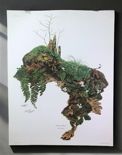 Art & Collectibles > Prints > Lithographs - Maryrose Wampler, Trailing Arbutus, Signed Print, 28x22, Wall Art, Plate 2 by...