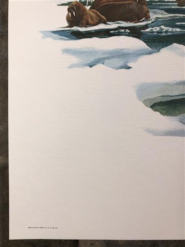 Art & Collectibles > Prints > Lithographs - Richard Timm, Polar Bear, Signed Print, 28x22 Wade Collection, Plate 30 by The...