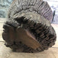 Home & Living > Home Decor > Home Accents - Rustic Wood Planter, Wood Stump, Round Wooden Flower Pot, Natural Wood Decor,...