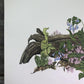 Art & Collectibles > Prints > Lithographs - Maryrose Wampler, Bluebells, Signed Print, 28x22 Wall Art, Plate 27 by The Old...