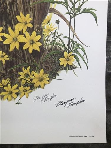 Art & Collectibles > Prints > Lithographs - Maryrose Wampler, Cardinal Flower Sunflower Signed Print 28x22 Wall Art Plate...