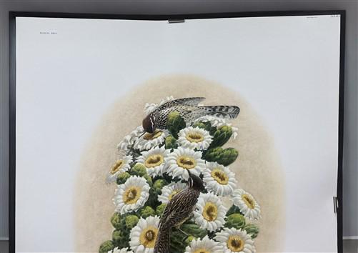 Art & Collectibles > Prints > Lithographs - Richard Sloan, Cactus Wren, Signed Print, 28x22, Wade Collection, Plate 26 by...