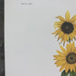 Art & Collectibles > Prints > Lithographs - Maryrose Wampler, Common Sunflower, Signed Print, 28x22 Wall Art, Plate 24 by...