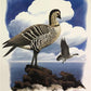 Art & Collectibles > Prints > Lithographs - Richard Sloan, Nene, Signed Print, 28x22, Wade Collection, Plate 41 by The Old...