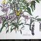 Art & Collectibles > Prints > Lithographs - Maryrose Wampler, Thistle, Signed Print, 28x22 Wall Art, Plate 28 by The Old G...