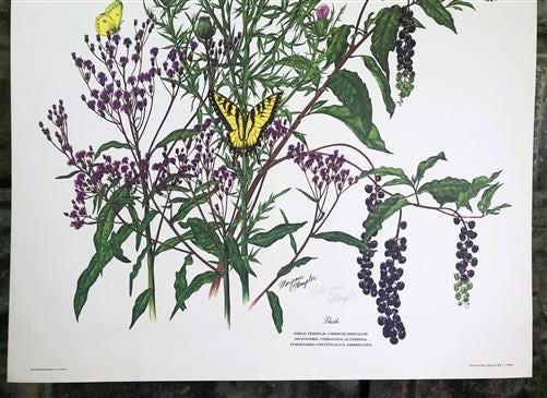Art & Collectibles > Prints > Lithographs - Maryrose Wampler, Thistle, Signed Print, 28x22 Wall Art, Plate 28 by The Old G...