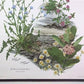 Maryrose Wampler Red Clover Roadside Flower Signed Print 28x22 Wall Art Plate 11