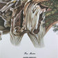 Art & Collectibles > Prints > Lithographs - Richard Timm, Pine Marten, Signed Print, 28x22 Wade Collection, Plate 39 by Th...