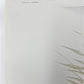 Art & Collectibles > Prints > Lithographs - Richard Sloan, Canvasback, Signed Print, 28x22, Wade Collection, Plate 38 by T...