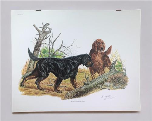 Art & Collectibles > Prints > Lithographs - Ernest Hart, Irish Setter, Signed Dog Print, 28x22, Wade Collection, Plate 4 b...