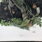 Art & Collectibles > Prints > Lithographs - Richard Timm, Black Bear, Signed Print, 28x22 Wade Collection, Plate 24 by The...