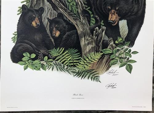 Art & Collectibles > Prints > Lithographs - Richard Timm, Black Bear, Signed Print, 28x22 Wade Collection, Plate 24 by The...