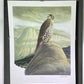 Art & Collectibles > Prints > Lithographs - Richard Sloan, Prairie Falcon, Signed Print, 28x22, Wade Collection, Plate 33...