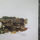 Art & Collectibles > Prints > Lithographs - Maryrose Wampler, Daisy Mum, Signed Print, 28x22 Wall Art, Plate 4 by The Old...