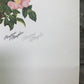Art & Collectibles > Prints > Lithographs - Maryrose Wampler, Wild Rose, Signed Print, 28x22 Wall Art, Plate 22 by The Old...
