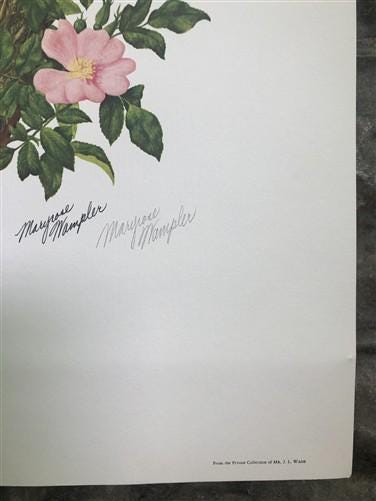 Art & Collectibles > Prints > Lithographs - Maryrose Wampler, Wild Rose, Signed Print, 28x22 Wall Art, Plate 22 by The Old...