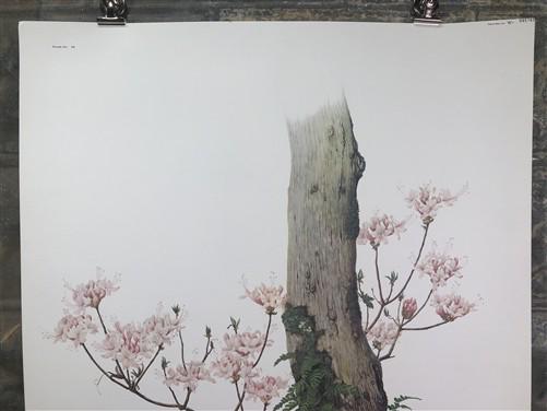 Art & Collectibles > Prints > Lithographs - Maryrose Wampler, Piedmont Azalea Violet, Signed Print, 28x22 Wall Art, Plate...