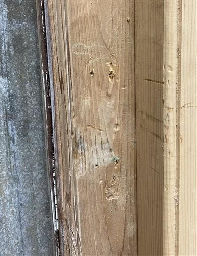 Antique French Single Door (27.25x82) Glass Pane Door with Jamb, Encased Door T7