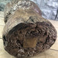 Rustic Wood Planter, Wood Stump, Round Wooden Flower Pot, Natural Wood Decor, L