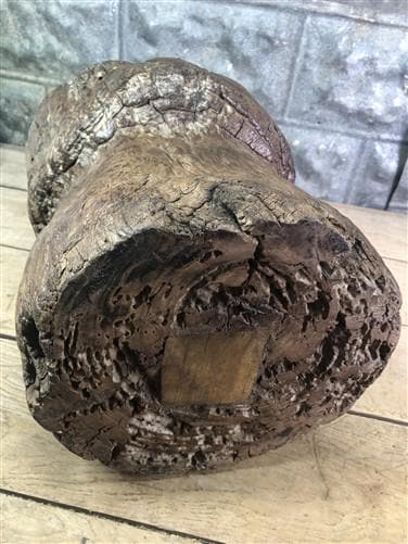 Rustic Wood Planter, Wood Stump, Round Wooden Flower Pot, Natural Wood Decor, L
