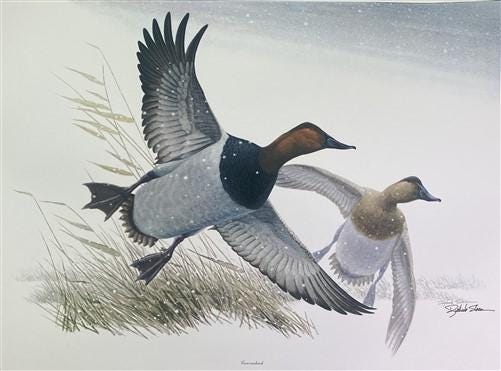 Art & Collectibles > Prints > Lithographs - Richard Sloan, Canvasback, Signed Print, 28x22, Wade Collection, Plate 38 by T...