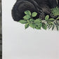 Art & Collectibles > Prints > Lithographs - Richard Timm, Black Bear, Signed Print, 28x22 Wade Collection, Plate 24 by The...