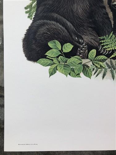 Art & Collectibles > Prints > Lithographs - Richard Timm, Black Bear, Signed Print, 28x22 Wade Collection, Plate 24 by The...