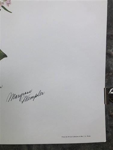 Art & Collectibles > Prints > Lithographs - Maryrose Wampler, Hepatica, Signed Print, 28x22 Wall Art, Plate 15 by The Old...