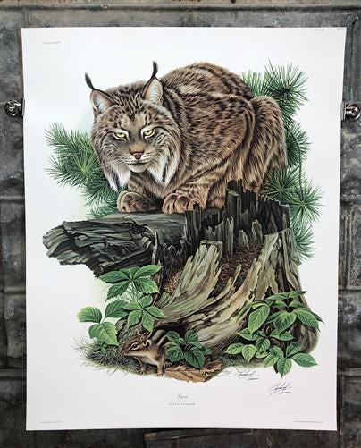 Art & Collectibles > Prints > Lithographs - Richard Timm, Lynx, Signed Print, 28x22 Wade Collection, Plate 27 by The Old G...