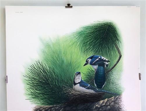 Art & Collectibles > Prints > Lithographs - Richard Sloan, Blue Jay, Signed Print, 28x22, Wade Collection, Plate 44 by The...
