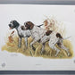 Art & Collectibles > Prints > Lithographs - 5 Ernest Hart Signed Dog Prints, 28x22 Wade Collection Lithograph Plates 1-5 b...