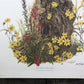 Art & Collectibles > Prints > Lithographs - Maryrose Wampler, Cardinal Flower Sunflower Signed Print 28x22 Wall Art Plate...