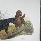Art & Collectibles > Prints > Lithographs - Ernest Hart, Irish Setter, Signed Dog Print, 28x22, Wade Collection, Plate 4 b...