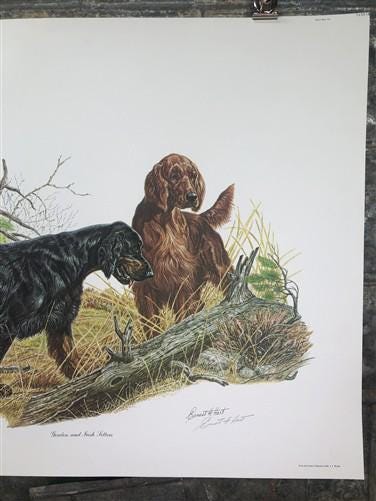 Art & Collectibles > Prints > Lithographs - Ernest Hart, Irish Setter, Signed Dog Print, 28x22, Wade Collection, Plate 4 b...