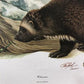 Art & Collectibles > Prints > Lithographs - Richard Timm, Wolverine, Signed Print, 28x22 Wade Collection, Plate 14 by The...