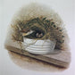 Richard Sloan, Caroline Wren, Signed Print, 28x22, Wade Collection, Plate 36